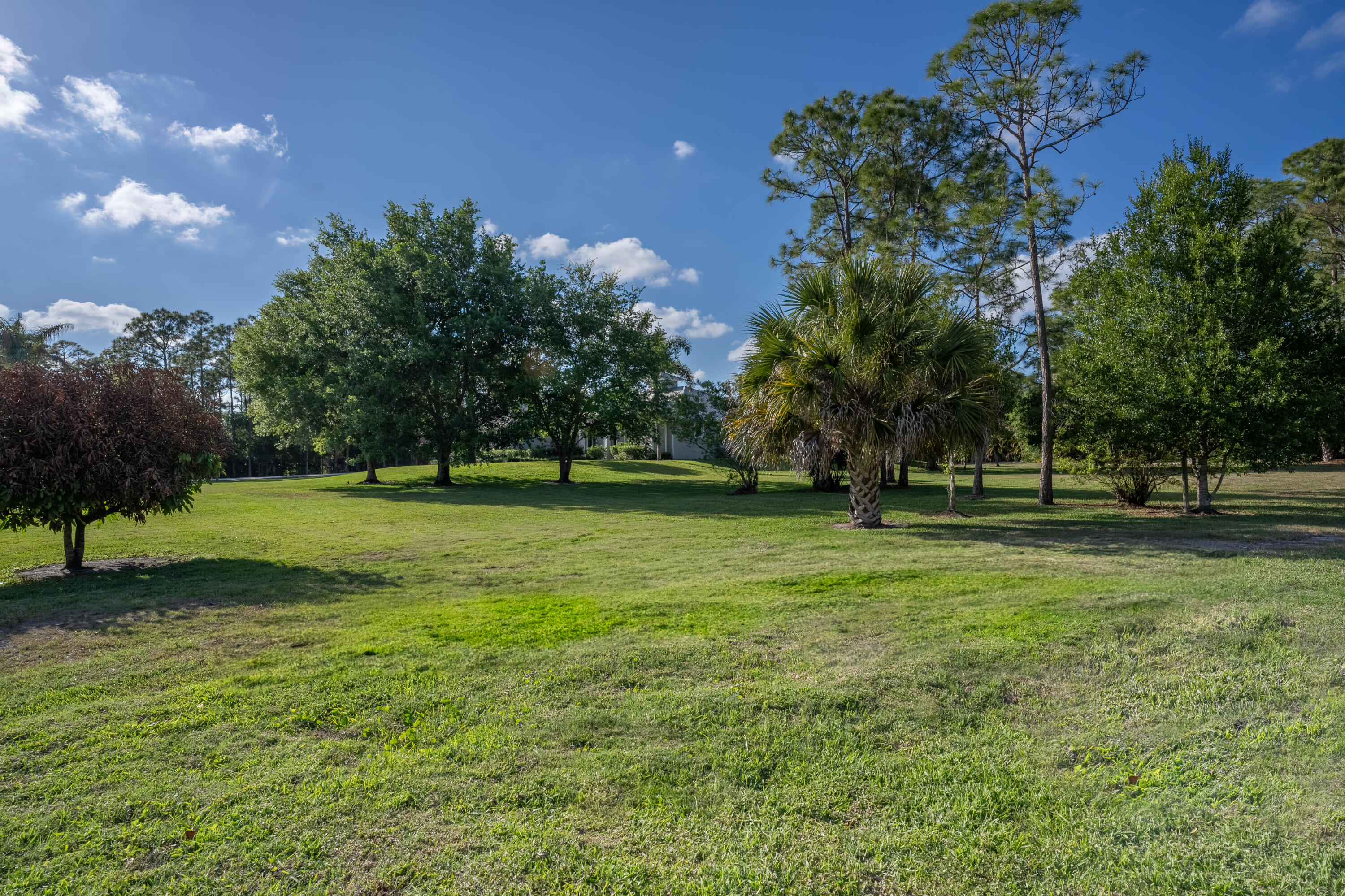 12275 185th Street North Jupiter, FL 33478 - Photo 28 of 35 a view of a park with large trees