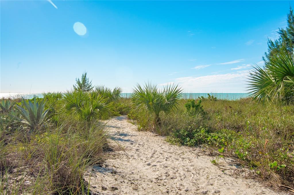 217 Casey Key Road Nokomis, FL 34275 - Photo 45 of 51 a view of a yard with plants and wooden fence