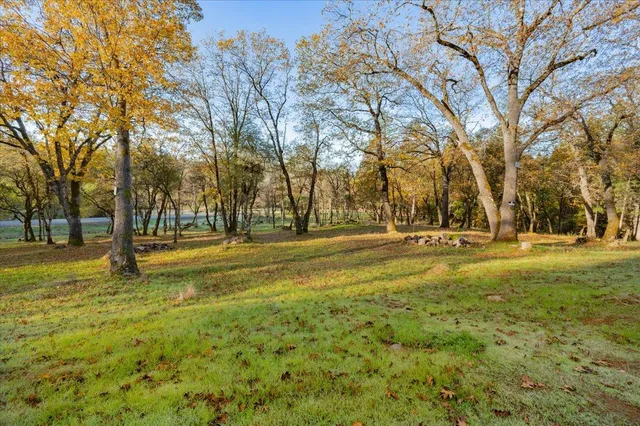 a view of yard with swimming pool