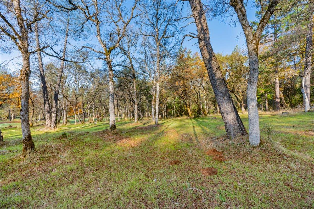 10746 South Ponderosa Way Rough and Ready, CA 95975 - Photo 13 of 28 a view of a yard with trees