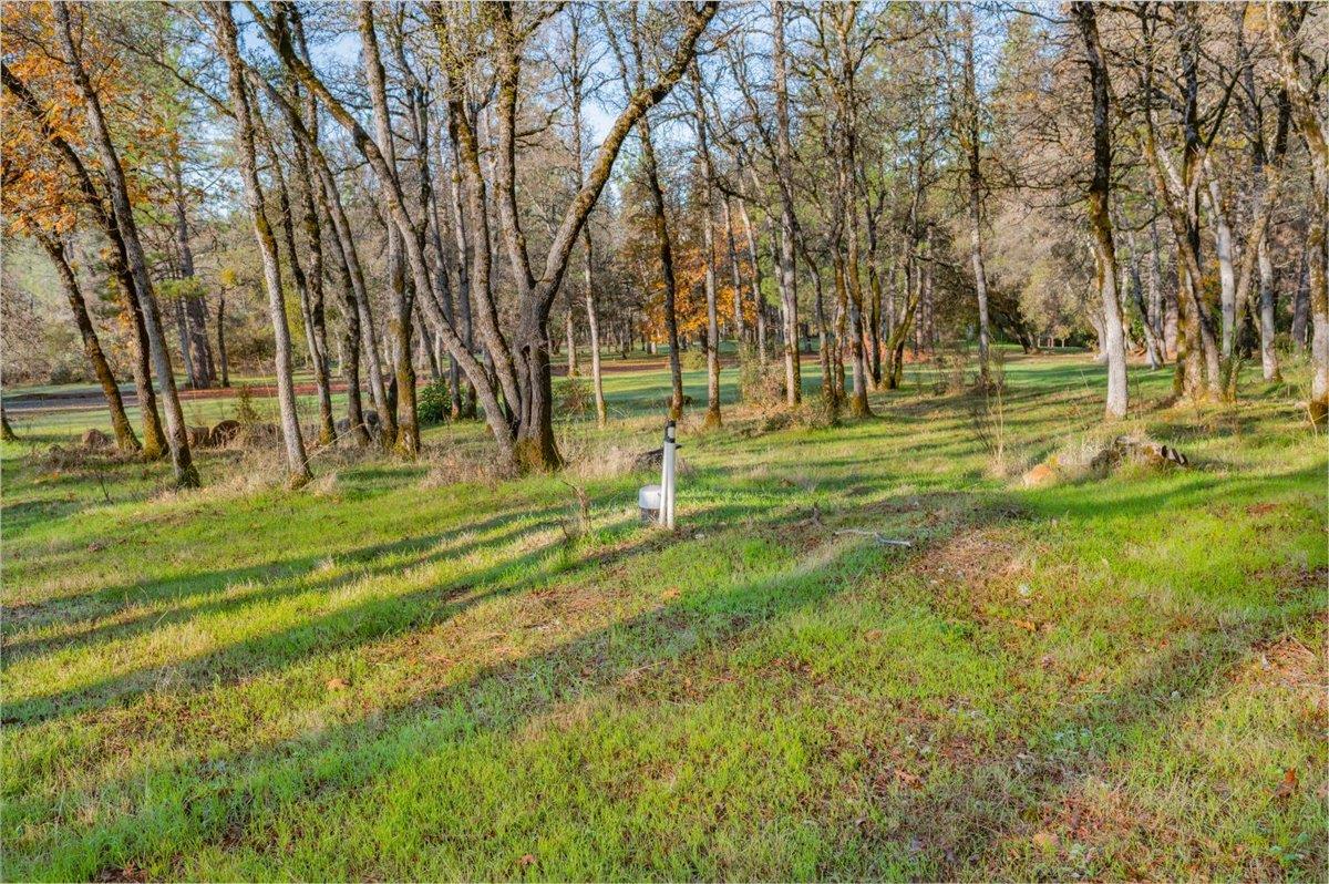10746 South Ponderosa Way Rough and Ready, CA 95975 - Photo 15 of 28 a view of a park with large trees