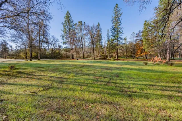 a view of a big yard with a fountain and large trees