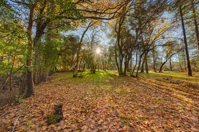 a backyard of a house with lots of green space