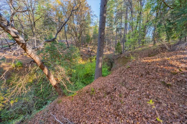 a big yard with lots of green space