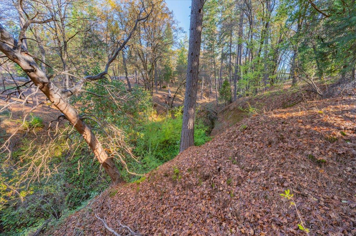 10746 South Ponderosa Way Rough and Ready, CA 95975 - Photo 20 of 28 a big yard with lots of green space