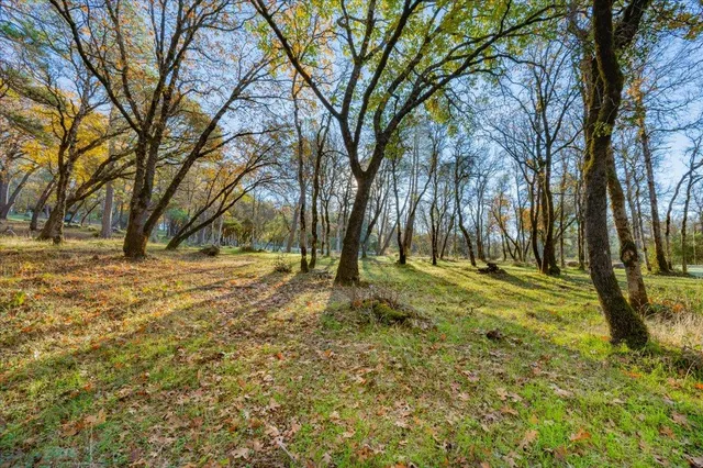 a view of yard with trees