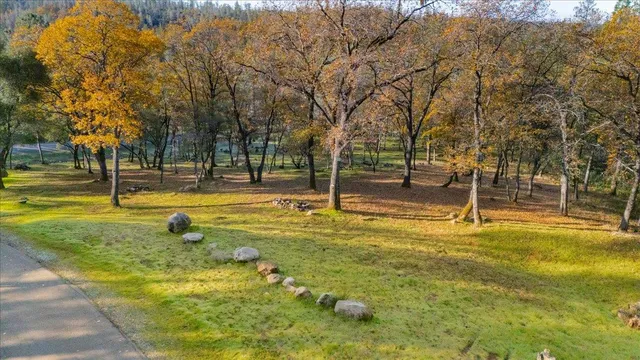 a swimming pool with trees in the background