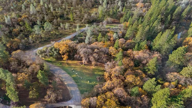 a view of a city with lush green forest