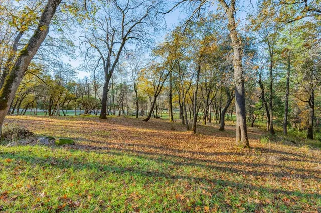 a backyard of a house with lots of green space