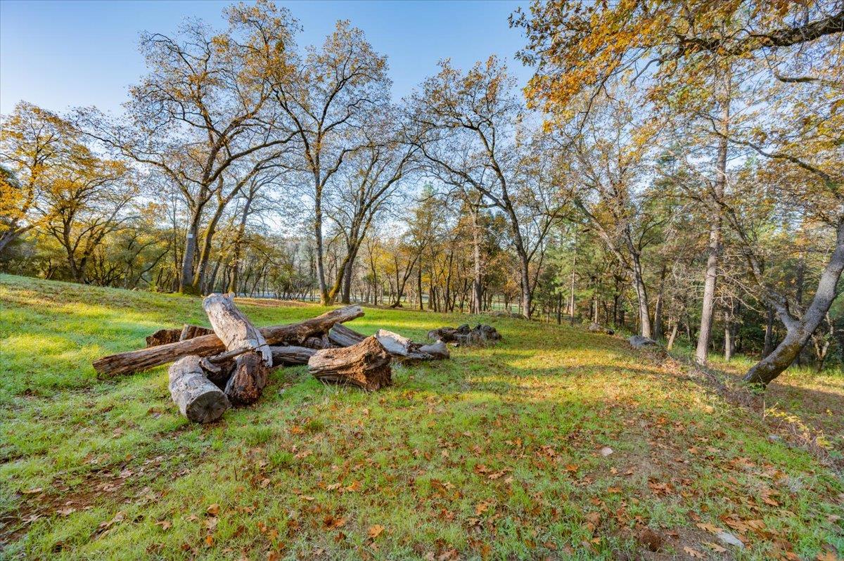 10746 South Ponderosa Way Rough and Ready, CA 95975 - Photo 5 of 28 a backyard of a house with table and chairs