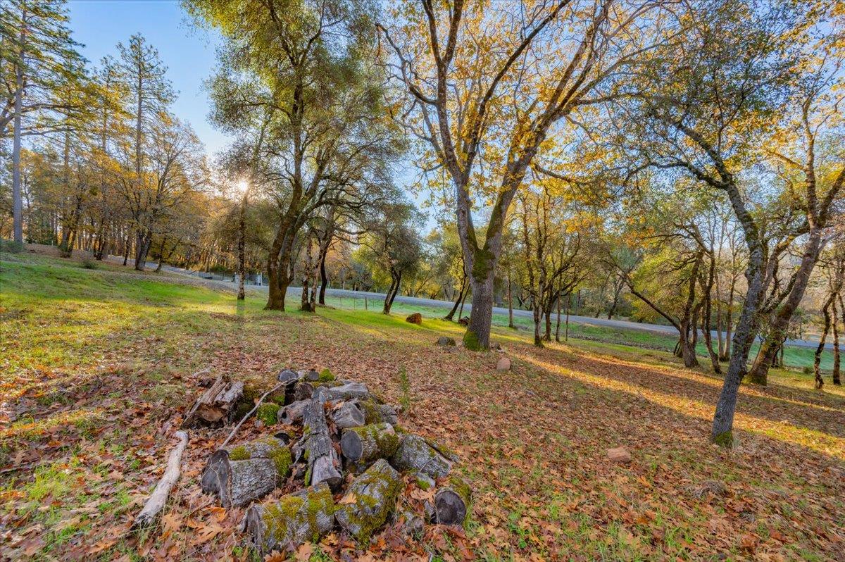 10746 South Ponderosa Way Rough and Ready, CA 95975 - Photo 6 of 28 a view of a park with large trees