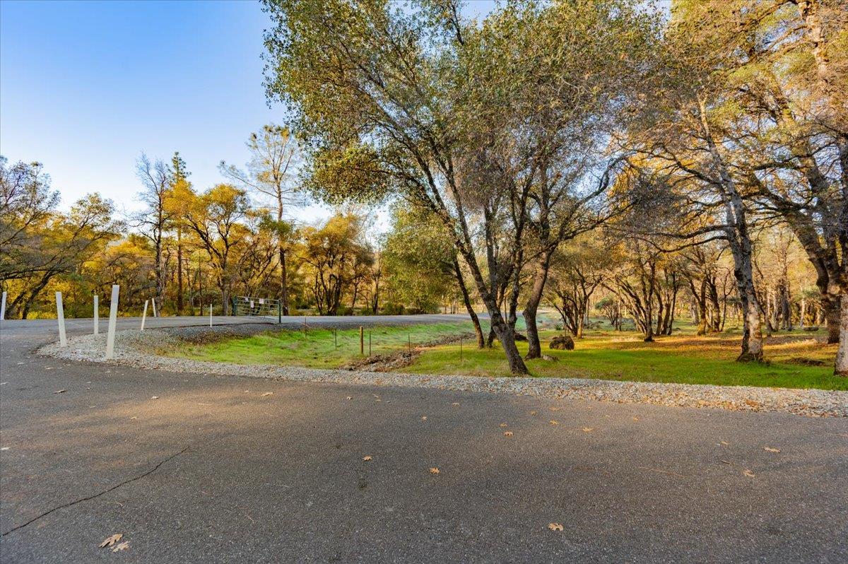 10746 South Ponderosa Way Rough and Ready, CA 95975 - Photo 7 of 28 a view of road and trees