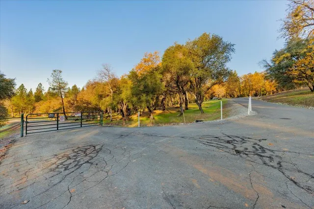 a view of dirt yard with trees