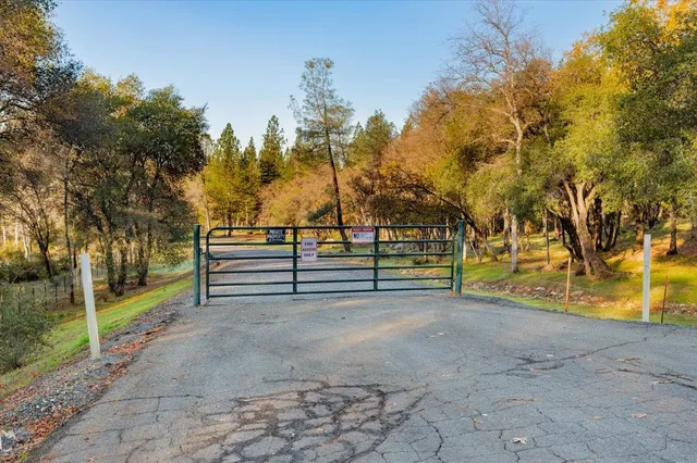 a view of a park with large trees