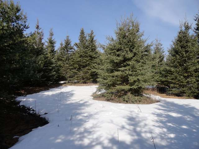 Lot 30 Pheasant View Drive Rhinelander, WI 54501 - Photo 14 of 20 Gallery Image 14