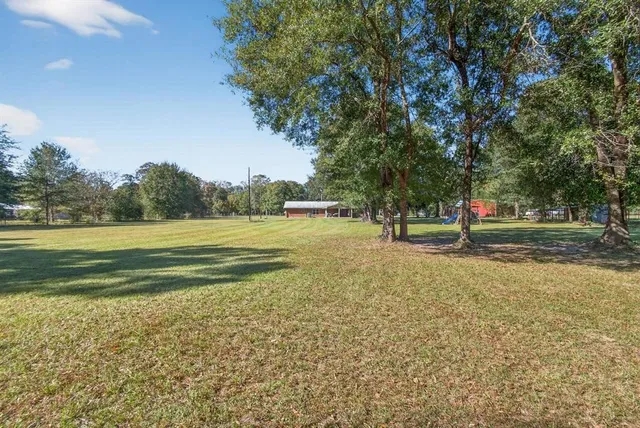 a view of swimming pool with trees