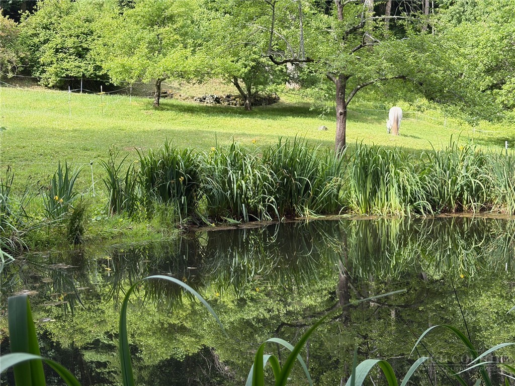 873 Silverleaf Road Zionville, NC 28698 - Photo 46 of 49 a view of a garden with a lake