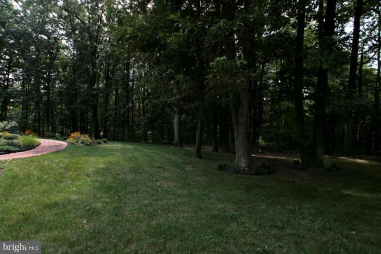 3760 Baker School House Road Manchester, MD 21102 - Photo 26 of 30 Wooded View / Acreage
