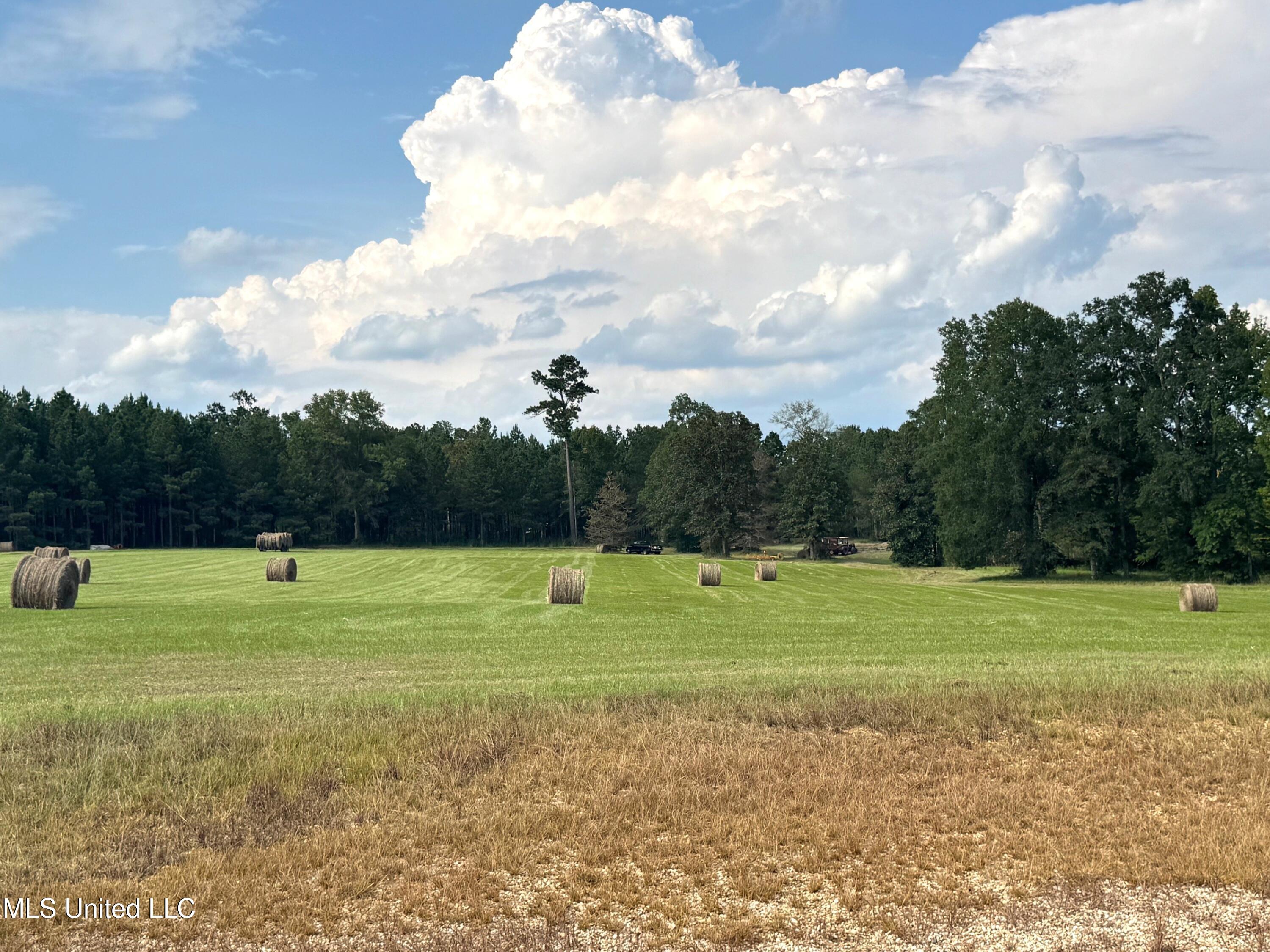 2053 Osyka Progress Road Osyka, MS 39657 - Photo 39 of 79 Hay bales in field