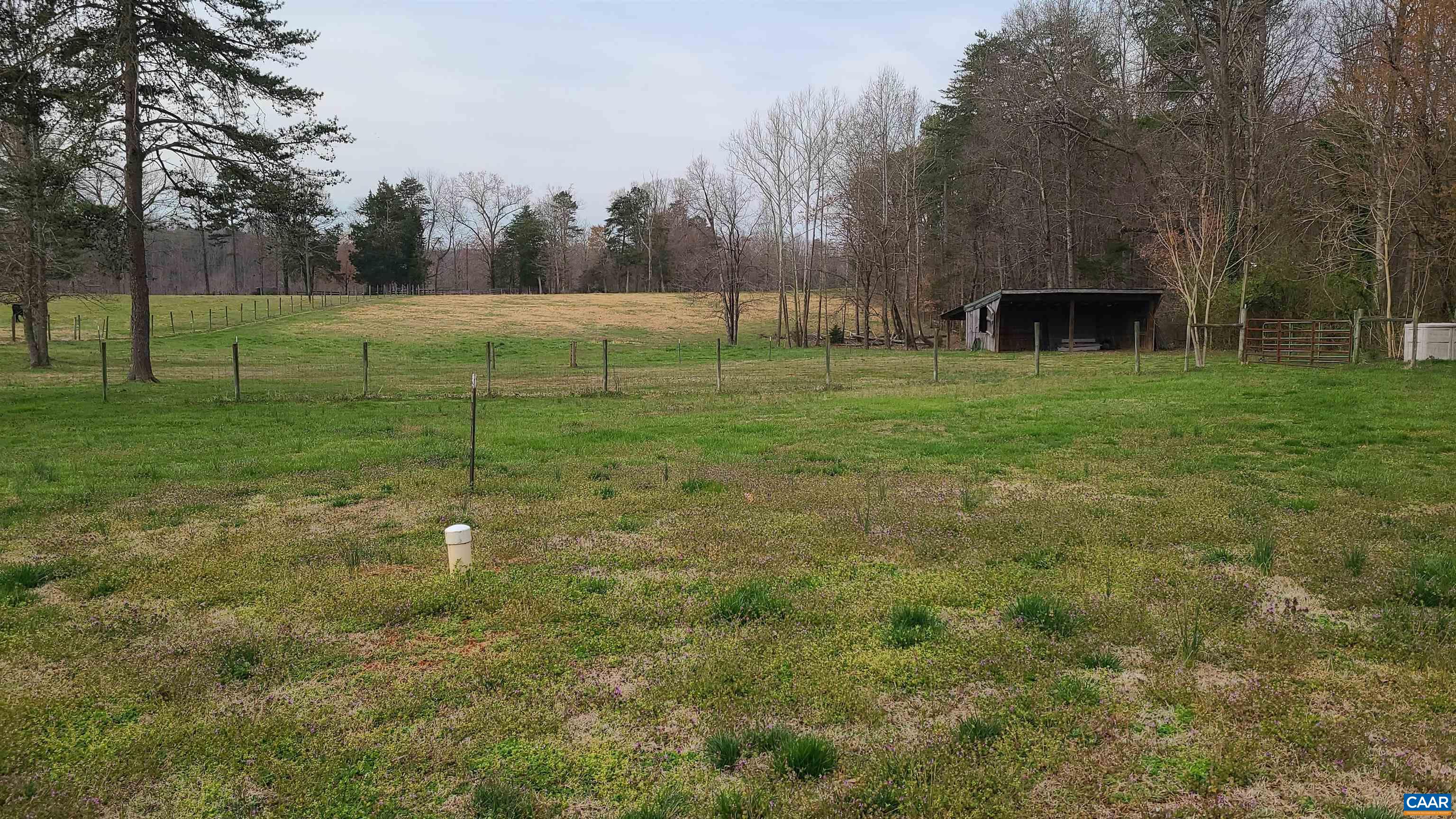 240 Lee Wayside Road Buckingham, VA 23921 - Photo 5 of 42 a view of a back yard