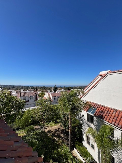 46 Los Cabos Dana Point, CA 92629 - Photo 9 of 37 a view of a yard
