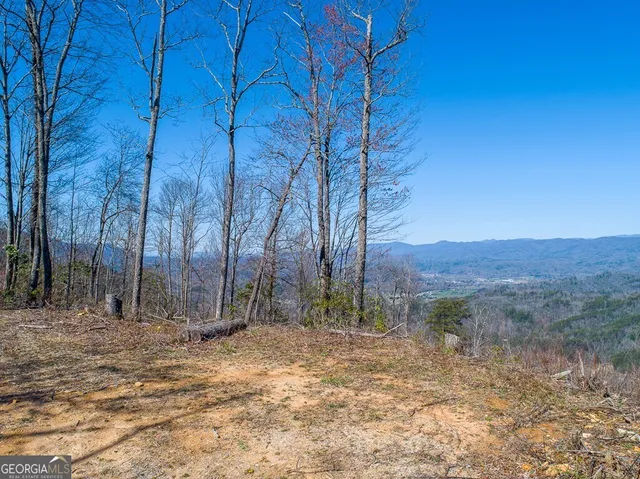 a view of a backyard