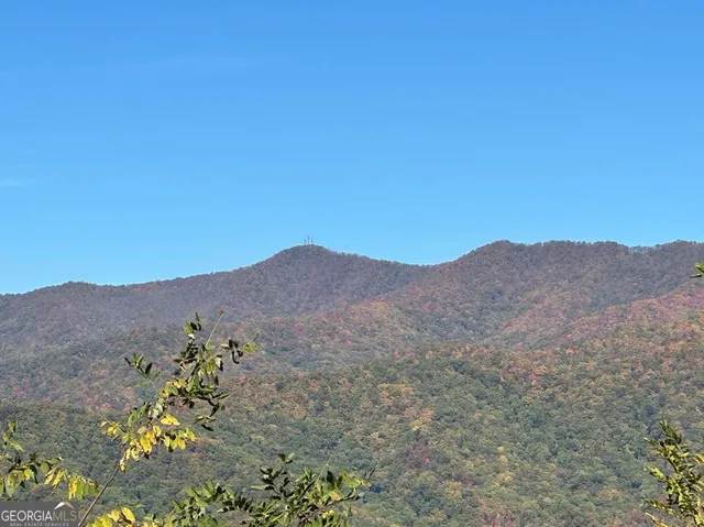 a view of a dry field with mountains in the background