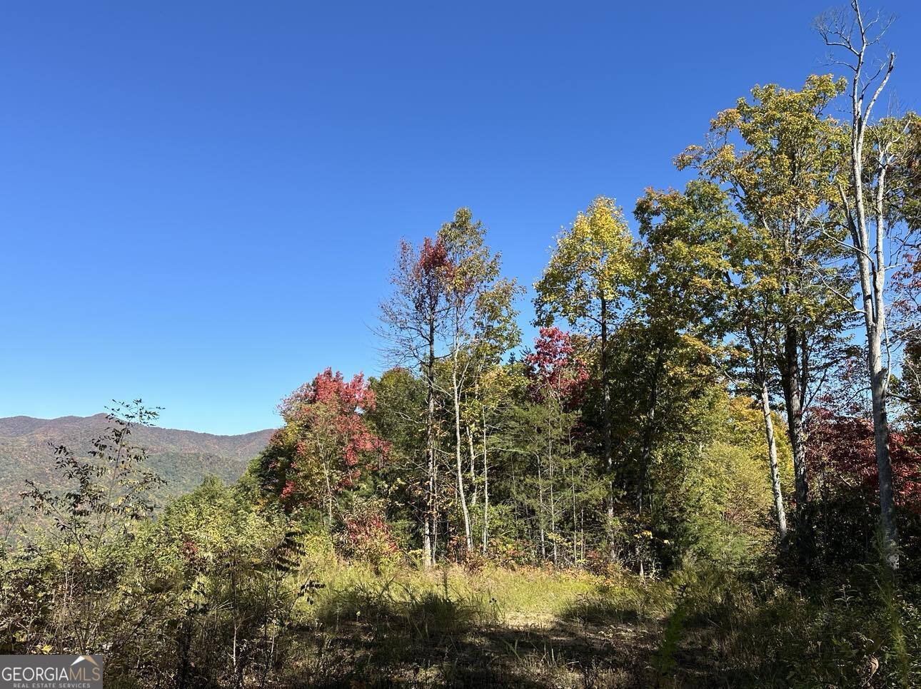 24 Cahill Drive Andrews, NC 28901 - Photo 11 of 50