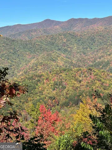 a view of a mountain range with lush green forest