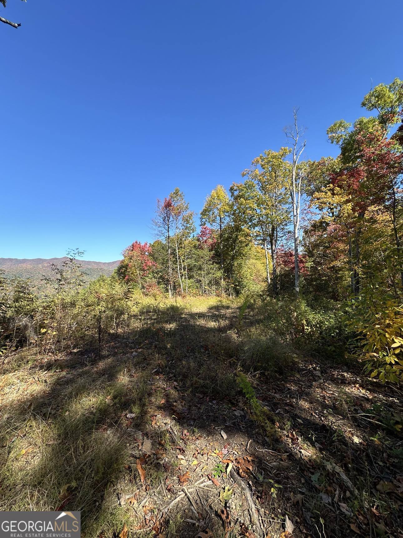 24 Cahill Drive Andrews, NC 28901 - Photo 13 of 50