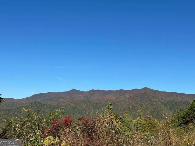 a view of a town with mountains in the background