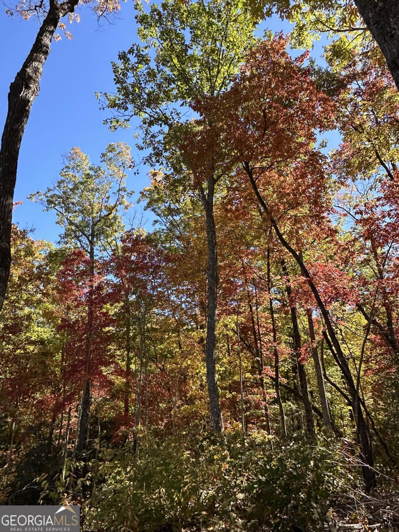 24 Cahill Drive Andrews, NC 28901 - Photo 14 of 50