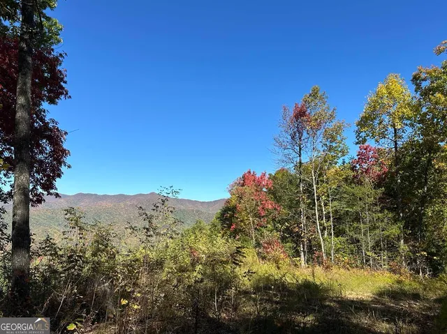 a view of a tree with a house in background