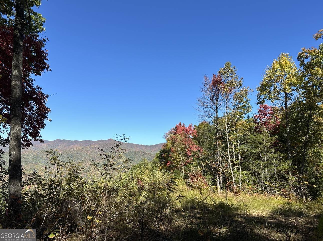 24 Cahill Drive Andrews, NC 28901 - Photo 16 of 50