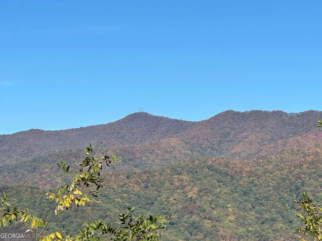 a view of a dry field with mountains in the background
