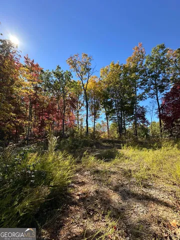 a view of outdoor space and yard