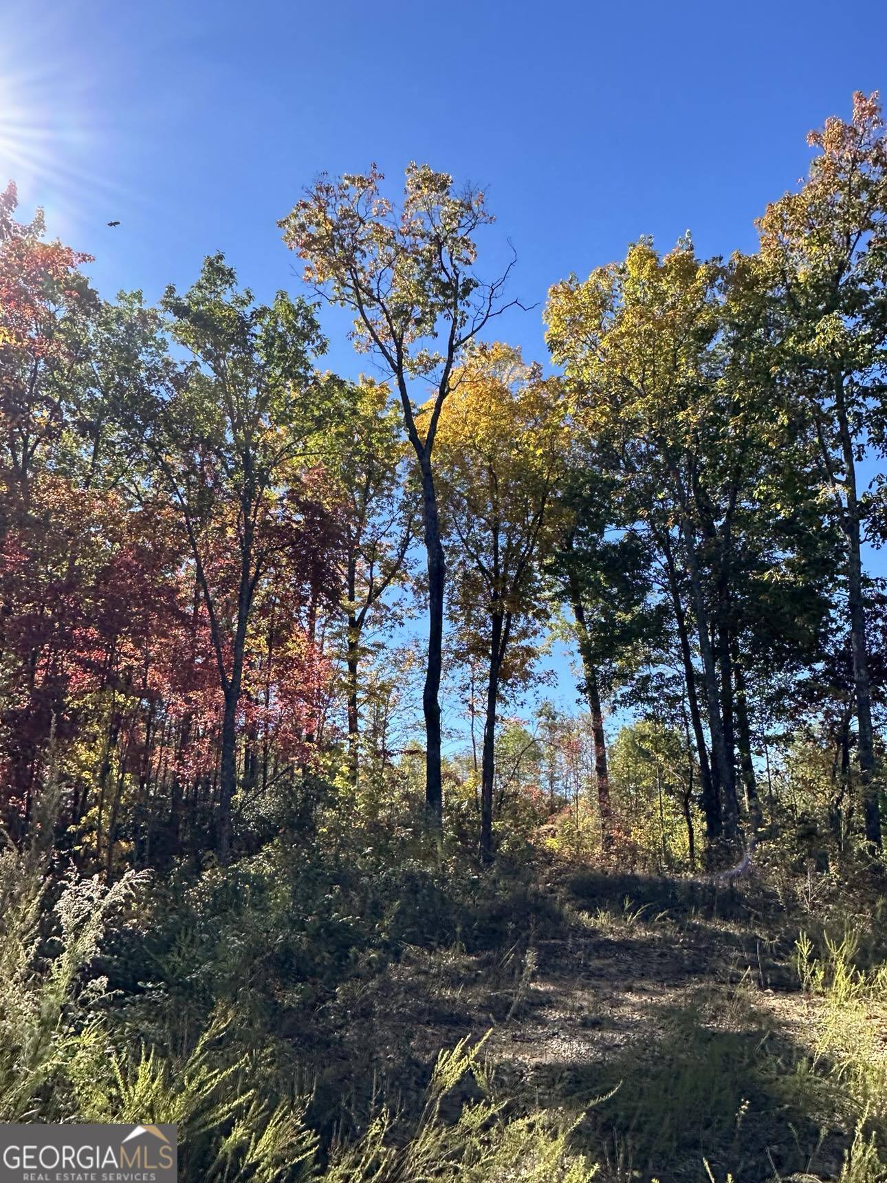 24 Cahill Drive Andrews, NC 28901 - Photo 18 of 50