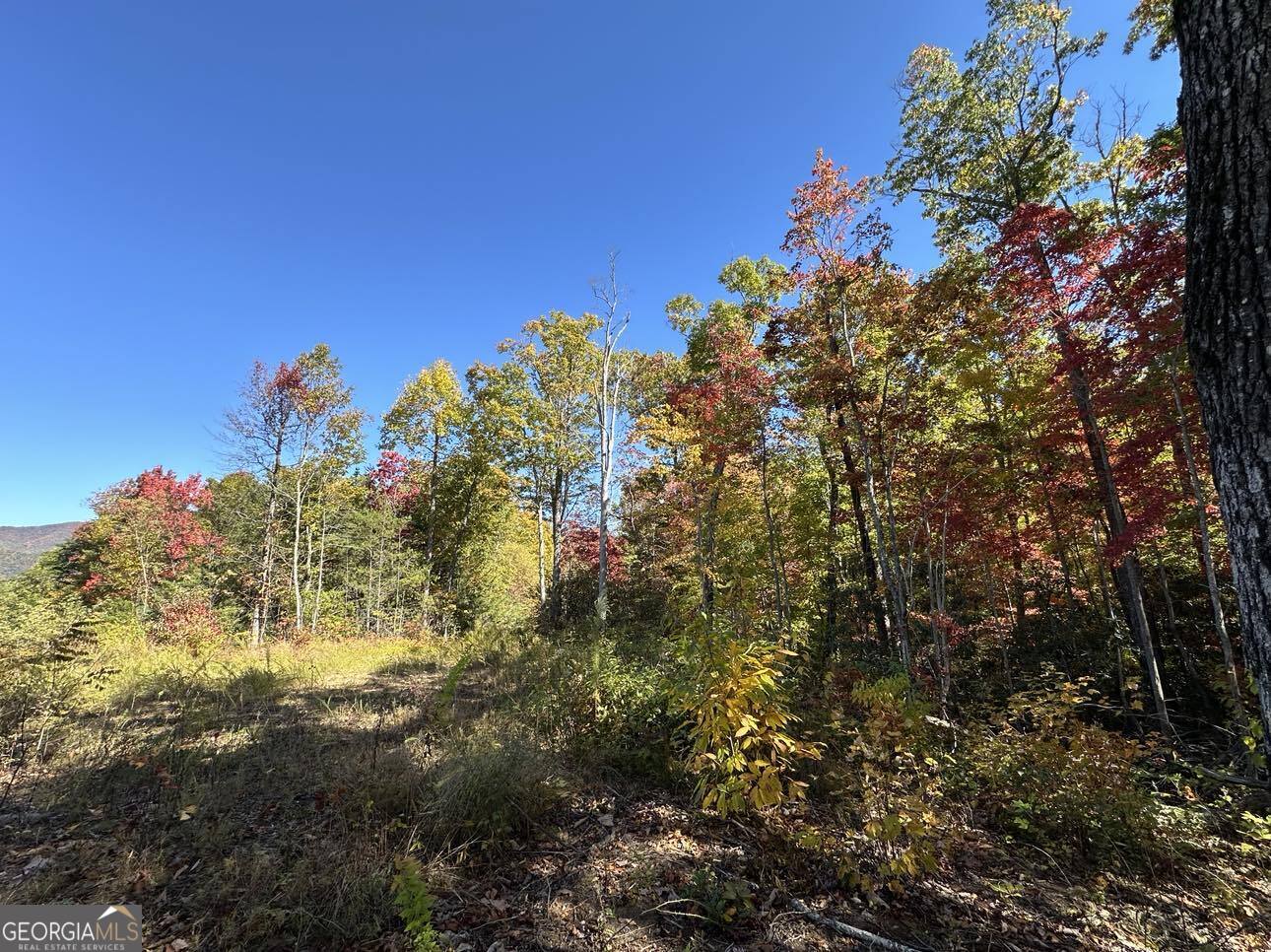 24 Cahill Drive Andrews, NC 28901 - Photo 20 of 50