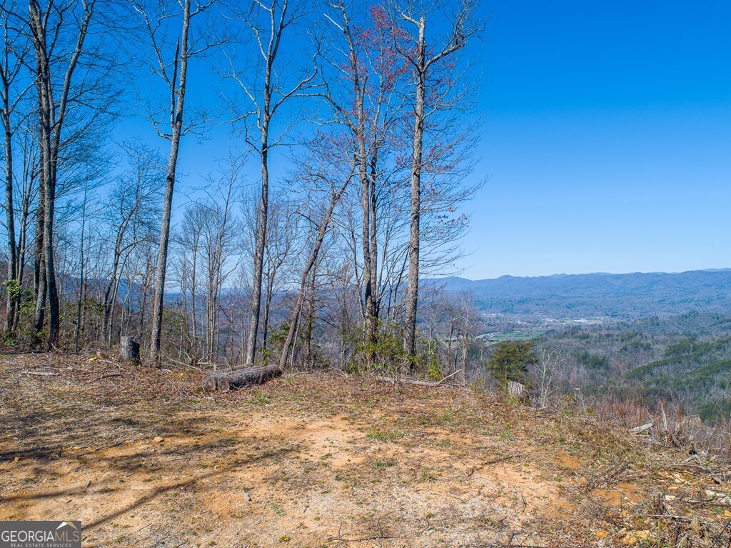 24 Cahill Drive Andrews, NC 28901 - Photo 2 of 50