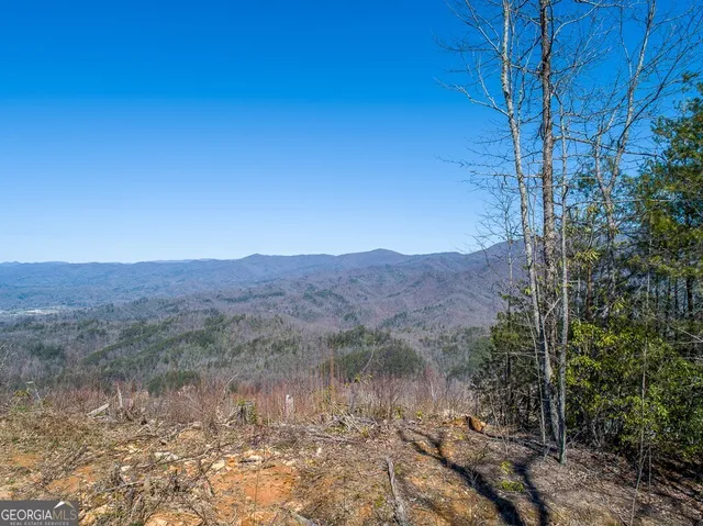 a view of a lake with mountains in the background