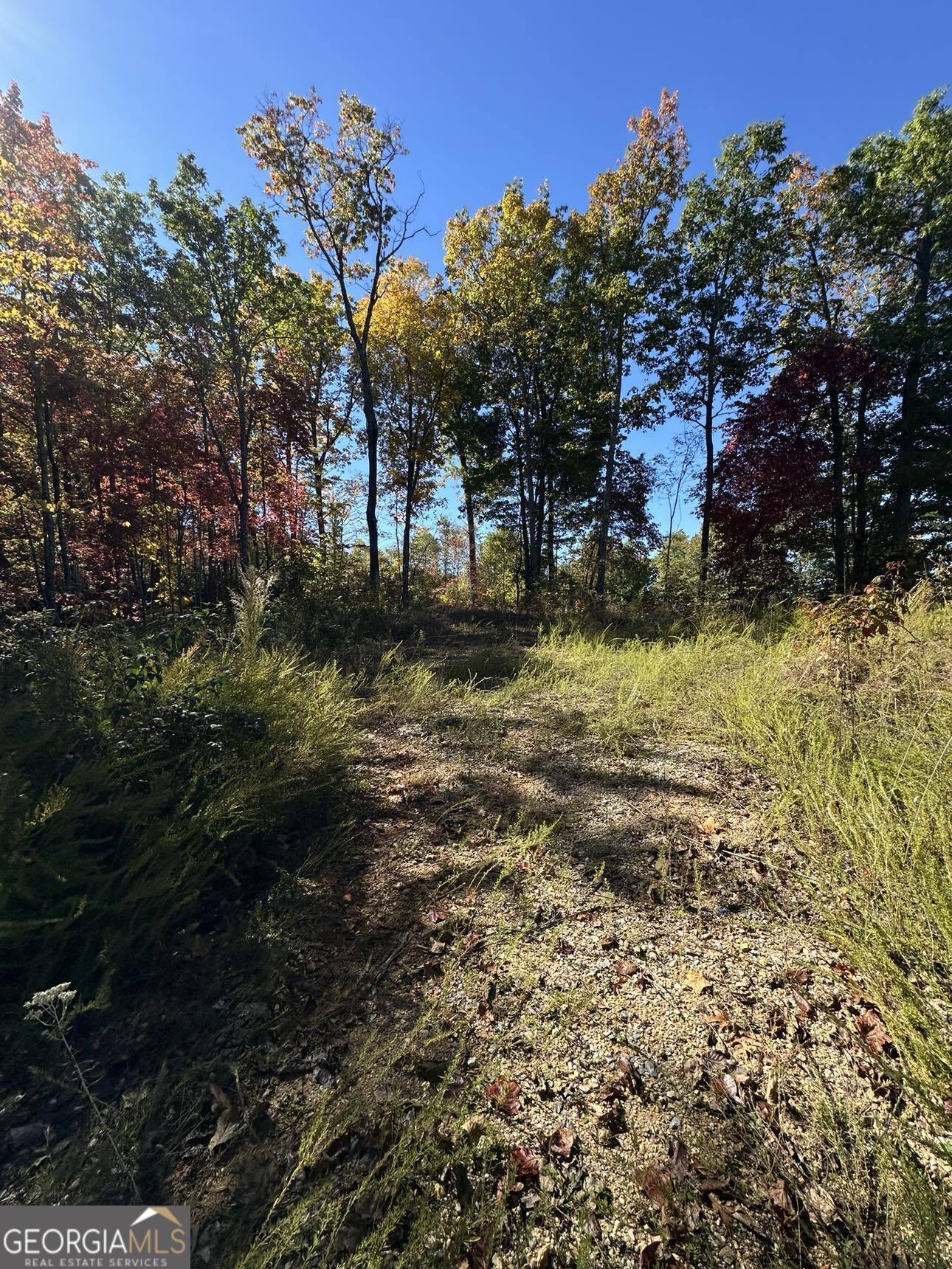 24 Cahill Drive Andrews, NC 28901 - Photo 21 of 50