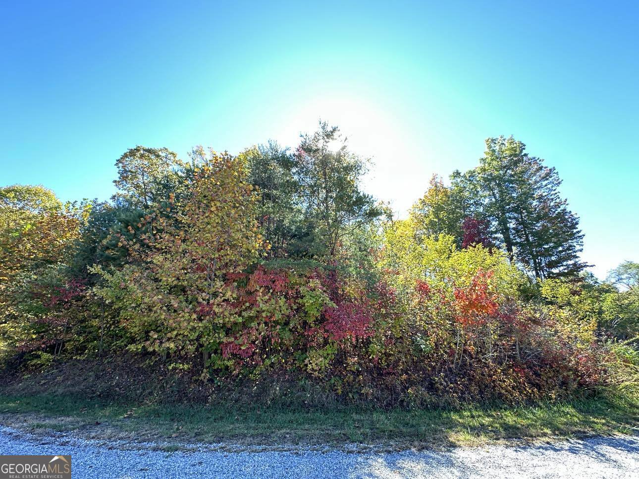 24 Cahill Drive Andrews, NC 28901 - Photo 22 of 50