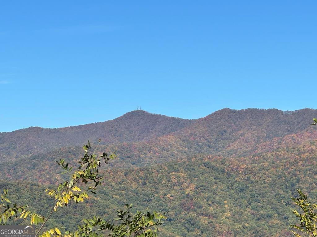 24 Cahill Drive Andrews, NC 28901 - Photo 3 of 50