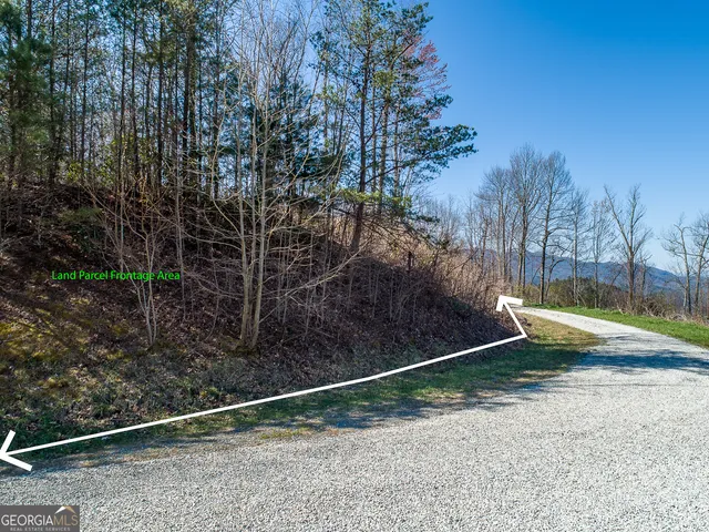 a view of a backyard with plants