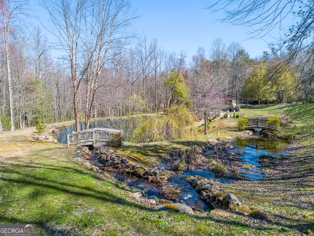 a view of a park with large trees