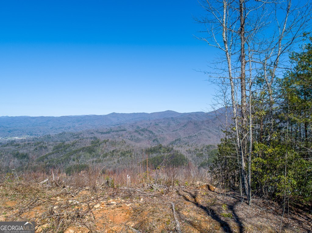 24 Cahill Drive Andrews, NC 28901 - Photo 4 of 50