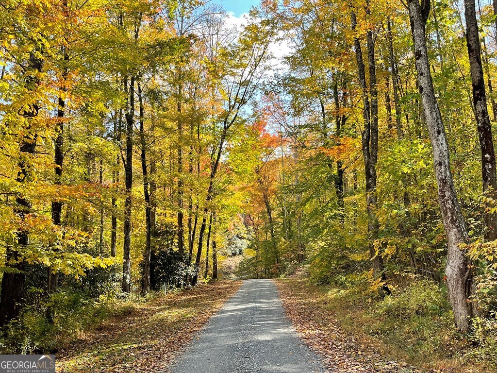 24 Cahill Drive Andrews, NC 28901 - Photo 41 of 50