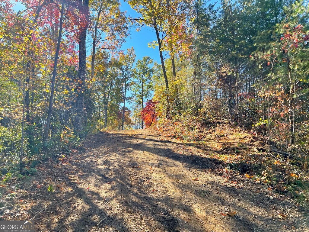 24 Cahill Drive Andrews, NC 28901 - Photo 45 of 50