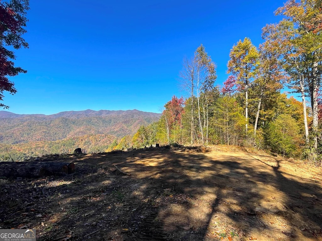 24 Cahill Drive Andrews, NC 28901 - Photo 46 of 50