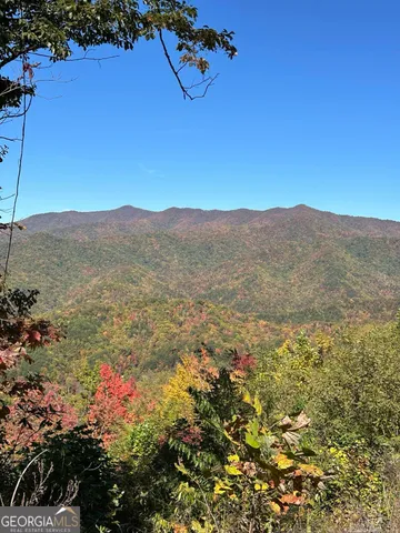 a view of a mountain in the distance
